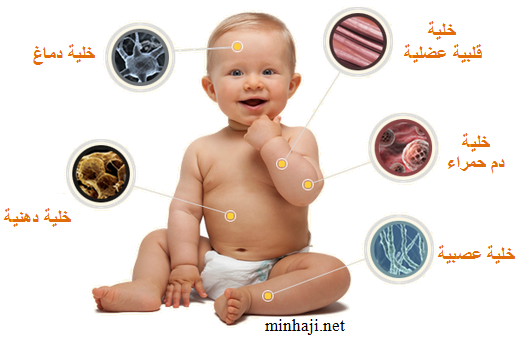 جسم الإنسان